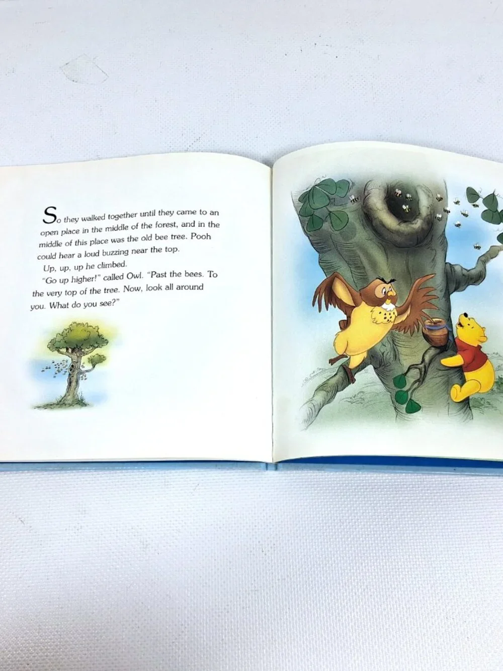 Vintage Winnie the Pooh Book, My First Winnie the Pooh, Pooh's Neighborhood, 90s
